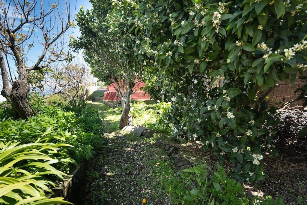 Villa Casa El Monte à San Juan del Reparo Extérieur photo